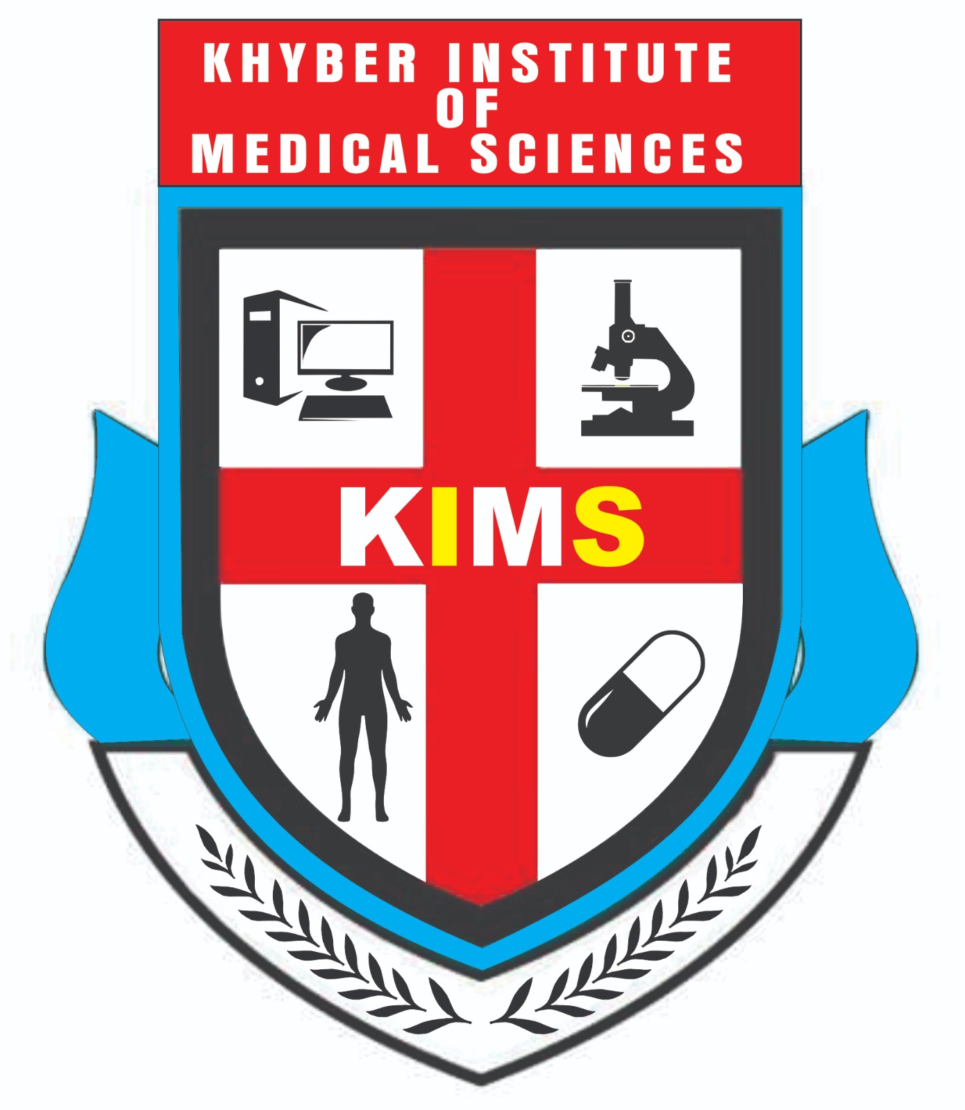 KIMS Logo